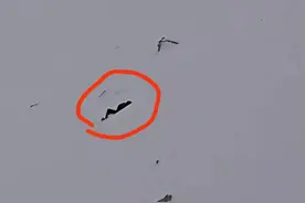雅姆雪山一男子登顶时滑坠身亡？目击者：无人机拍到摔倒一幕，当时海拔5000多米图片