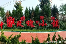 如何以中国式浪漫芬芳世界？平阴县玫瑰镇开出“幸福花”图片