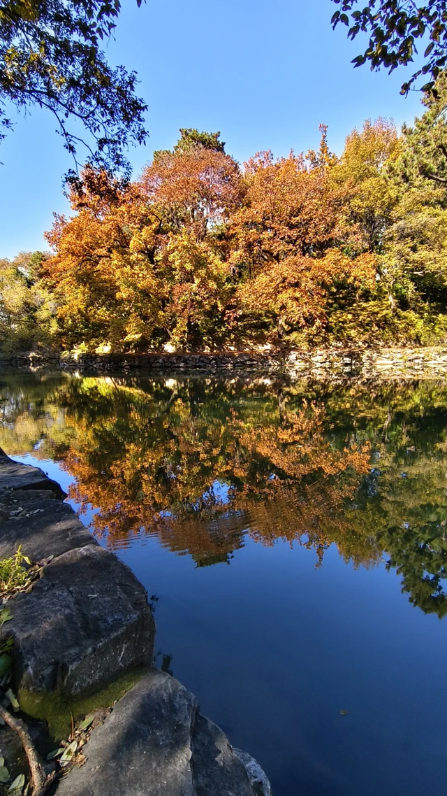 颐和园的秋天太美了