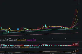 7连板长白山：股票交易严重异常波动图片