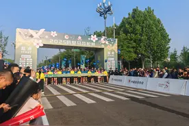 鹤舞樱飞 向新而行 2025鹤壁马拉松激情开赛图片