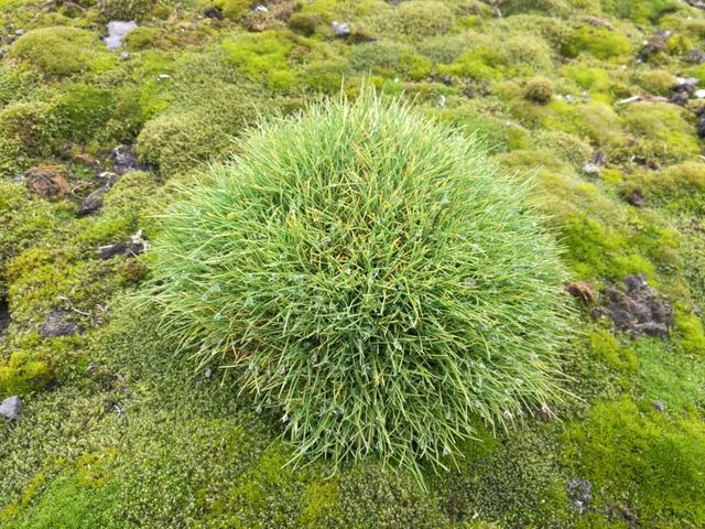 我国南极科考再出征 中国科学院科研力量肩负哪些重任？