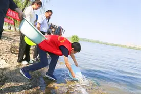 以鱼养水，105万尾鱼“游”进文昌湖图片