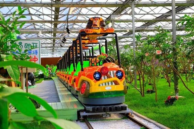 冷冷冷！雪后风起，冬游北京温暖指南——