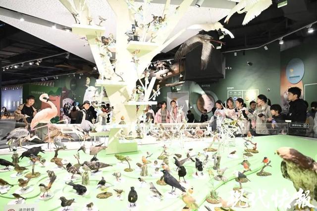 黄海湿地博物馆入选“十佳研学基地”