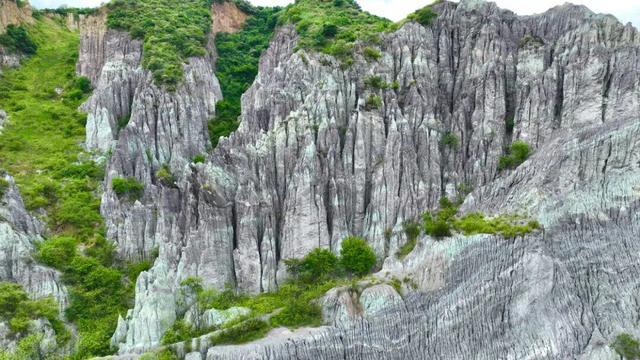 云新闻・滇地宝藏⑩丨吃不完根本吃不完，滨江花果城确定不来吗？