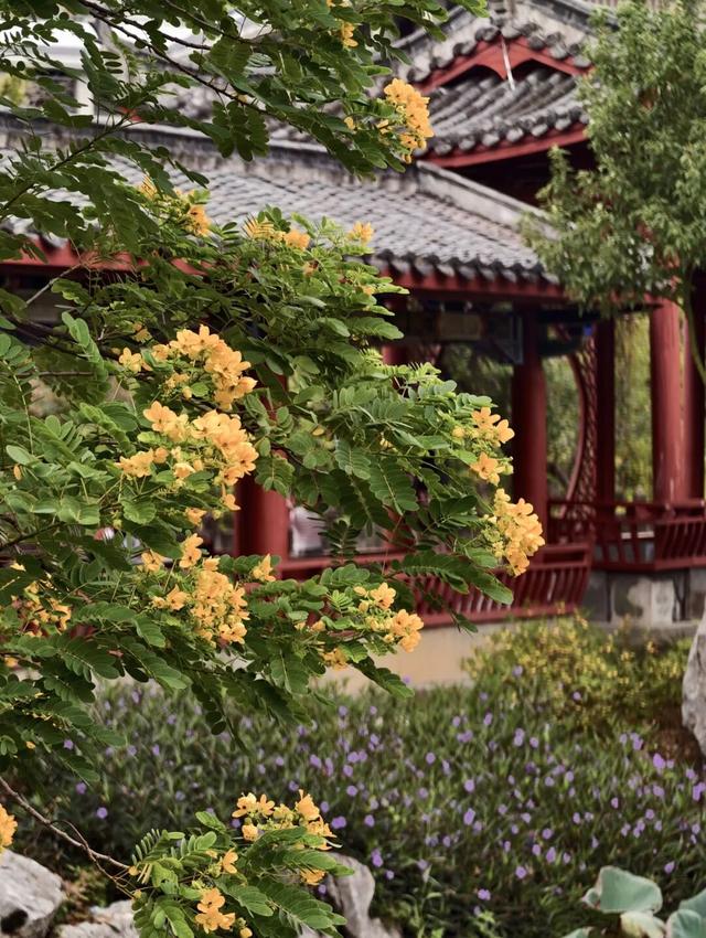 听说，福州人最近都在台江“捡”这些