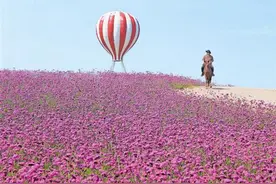 花海盛开迎客来图片