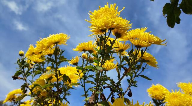 旌德，红黄橙绿白～