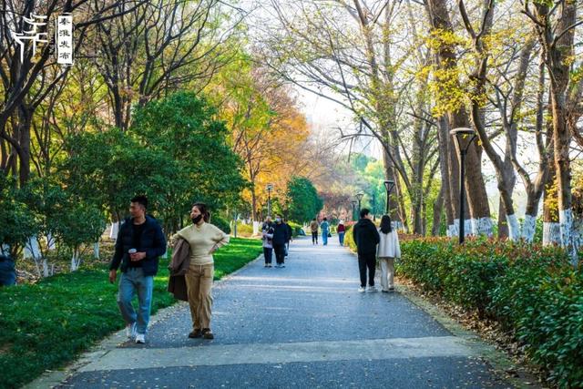 秦淮citywalk｜七桥瓮湿地公园