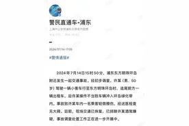 上海一小汽车冲入东方明珠环岛花坛！浦东警方通报图片