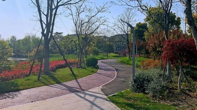 四季流转，青浦这座公园的颜值从来不掉线！