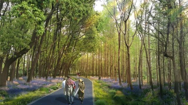 花海、儿童乐园、骑行步道……嘉定将新添一座公园，开放时间↗