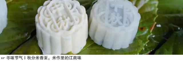 在全浙江超好吃的小县城逛吃，还能偶遇浙BA球员