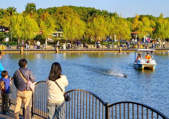 降温前的惬意周末 蓝天夕阳无限好