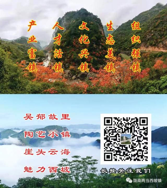 篝火映立秋！西坡镇张果老康养产业园成“慢生活”新地标