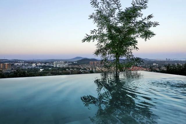 鸥遇青岛 温泉暖冬！青岛冬日暖经济火力全开！