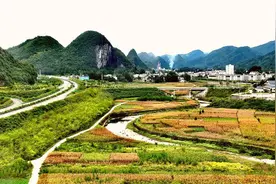 行摄鹤峰乡村：太平金色的田野图片