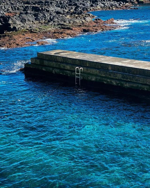 去大西洋，一直游到艺术的丰饶之海