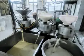 平山干豆腐“进城记”图片