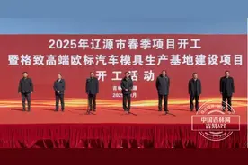 辽源市举行2025年春季项目集中开工活动图片