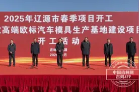 辽源市举行2025年春季项目集中开工活动图片