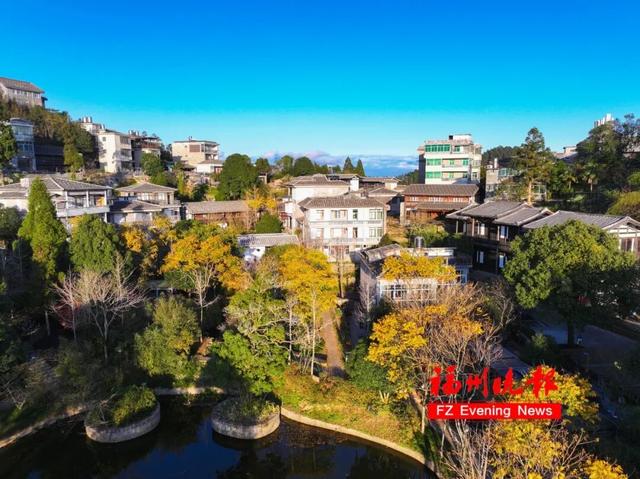 黄了！红了！福州大面积上新！颜值高峰！