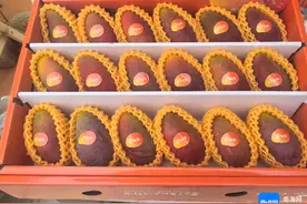 探亲访友带啥礼物？这19件优质“三亚农礼”清单请收好图片