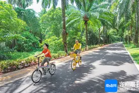 一线直击 | 海口龙华区扩权强区见实效 家园有了新变化图片