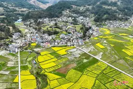 春暖花开 乡村如画图片