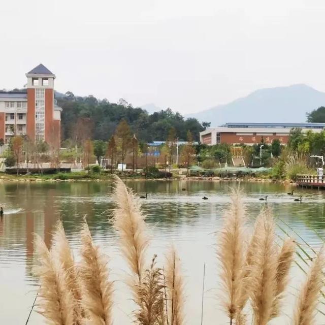 要开学啦！这些三明高校隐藏美景，还不来吗？