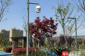 有“颜”更有“品”！苏州相城高新区打造城市理想“家”图片