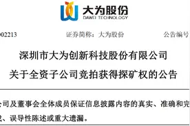 桂阳大为矿业有限公司以3760万元竞得桂阳大冲里探矿权图片