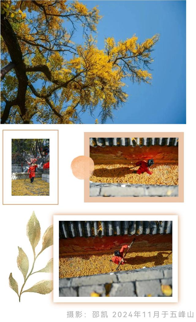 济南的秋天，大电影质感！