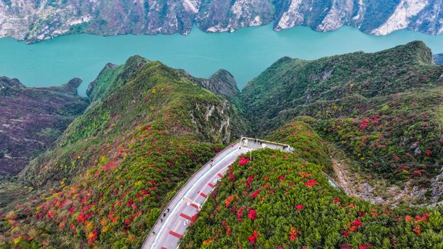 红叶扮靓长江巫峡