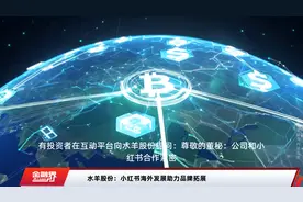 水羊股份：小红书海外发展助力品牌拓展视频封面