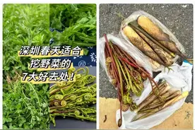 千万别碰！一群壮汉被“放倒”，紧急送医图片