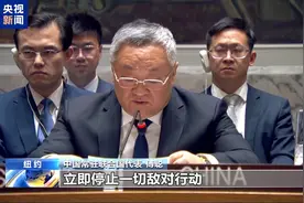 联合国安理会通过决议 要求立即在刚果（金）实现无条件停火图片