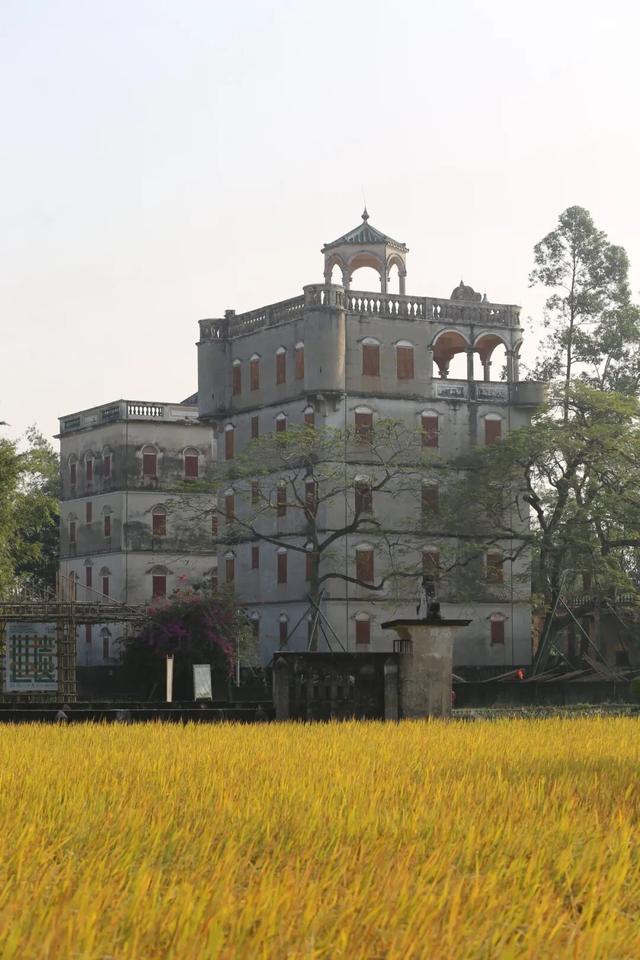 碉楼秋韵，揽胜塘口！快来开平这里把整个秋天“揽"入怀中