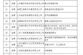 淄博60家企业入选省级新材料领军企业相关名单图片