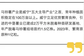 贵州威宁盛产“没有土的土豆”！图片