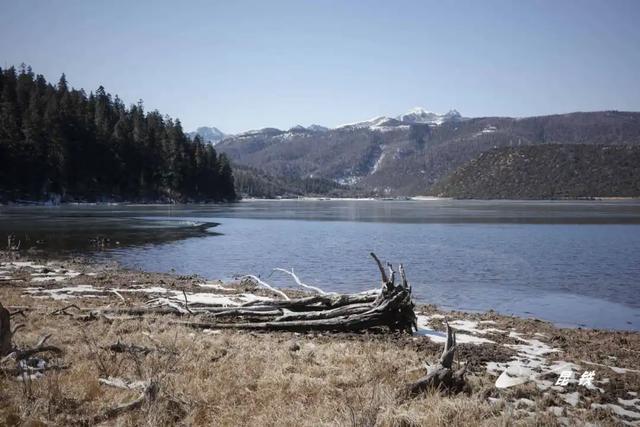 冬日游香格里拉,邂逅雪域浪漫