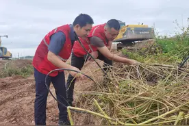 三年“扫雷”，一朝亮剑！广西移动持续保障汛期通信网络安全图片