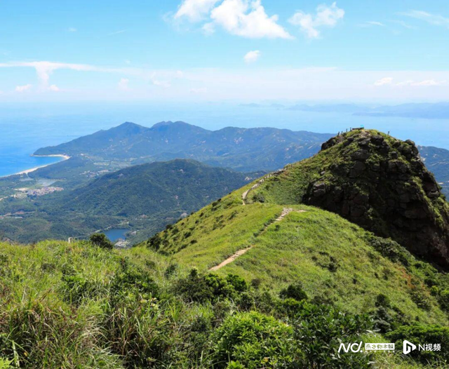 秋日限定“粉黛暴击”！深圳7000㎡粉色仙境限时绽放