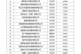 2024三湘民营企业百强榜发布 入围门槛首次突破30亿元图片
