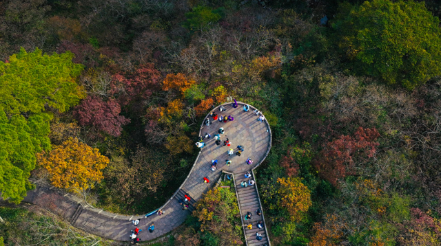 出片率100%！黄山风景区进入最佳赏秋期
