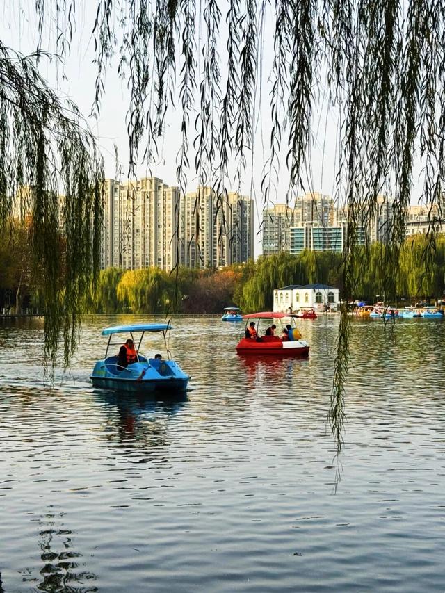 五彩斑斓！巩义市区这个宝藏打卡地迎来颜值巅峰→