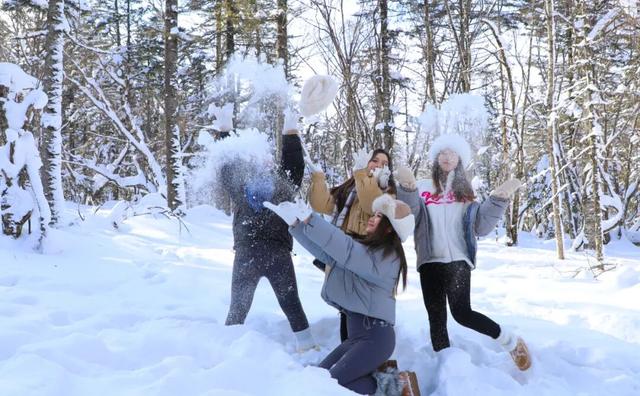 和龙顶流！美翻了！