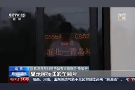坐高铁如何快速找到座位？车内的“神秘编号”你会看吗图片