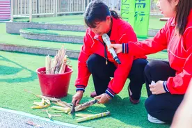 春芽初绽启新程 自然育人润童心图片